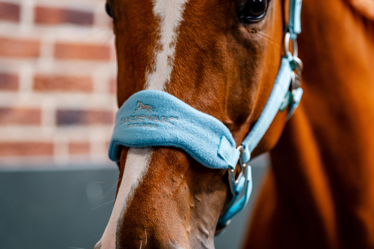 🔖Horseware Signature Grooming Headcollar