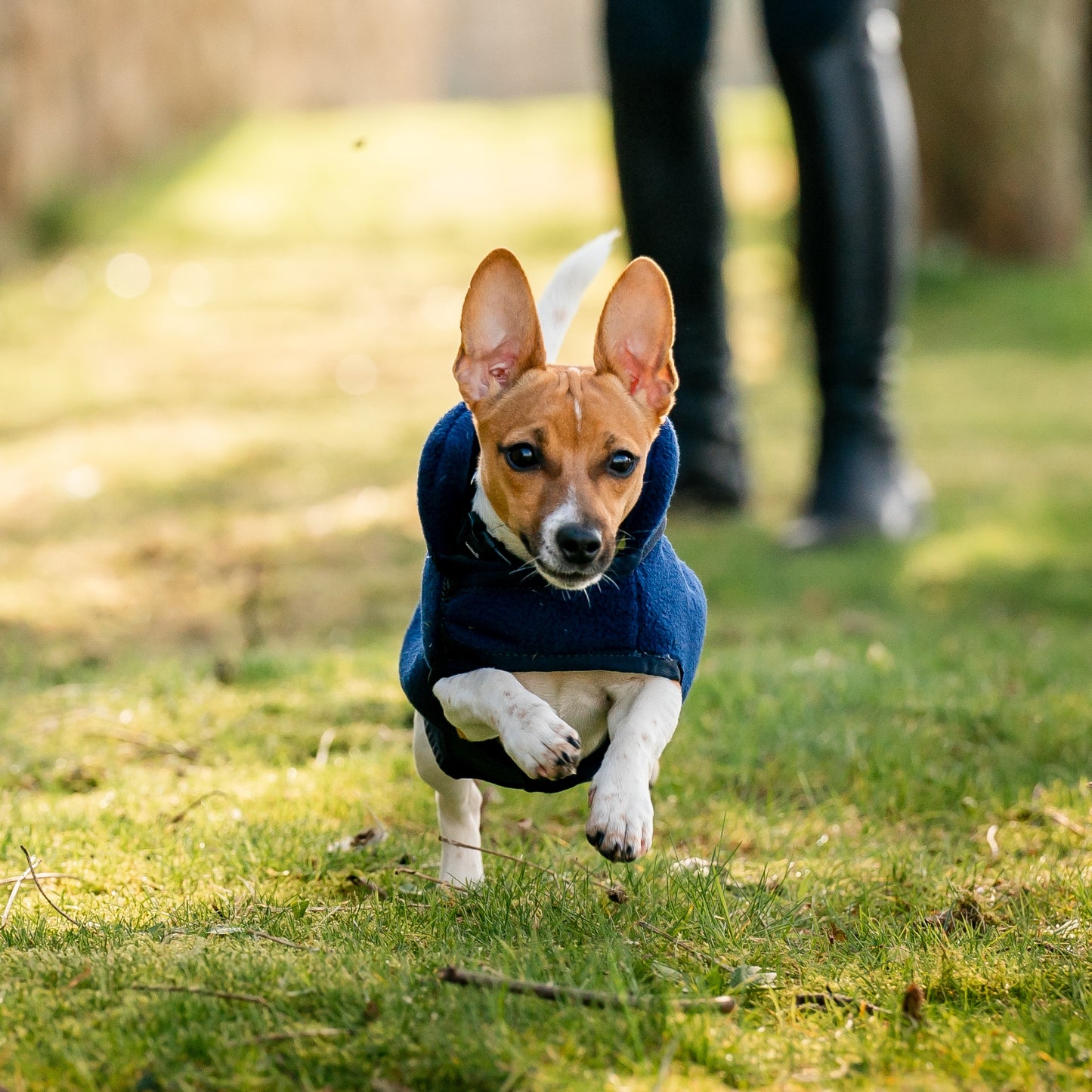 Horseware Signature Dog Fleece