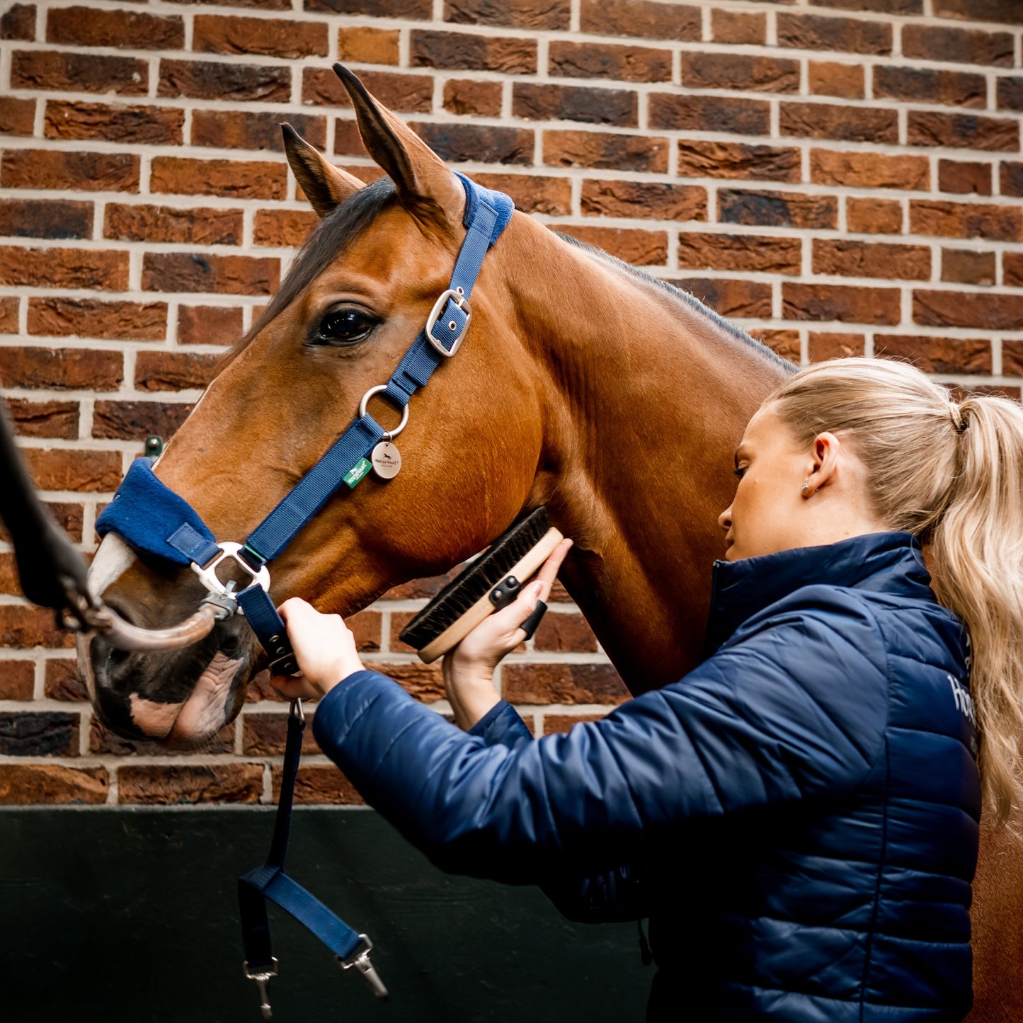 🔖Horseware Signature Grooming Headcollar