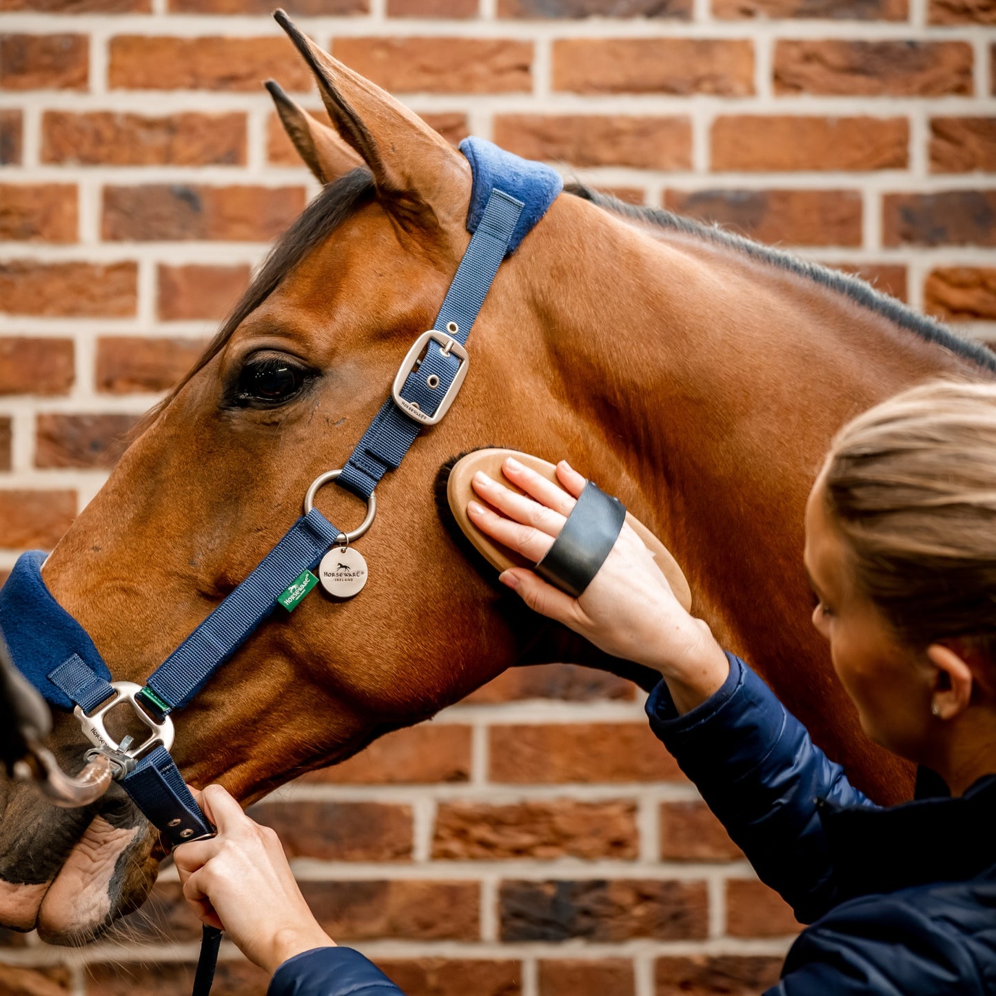 🔖Horseware Signature Grooming Headcollar