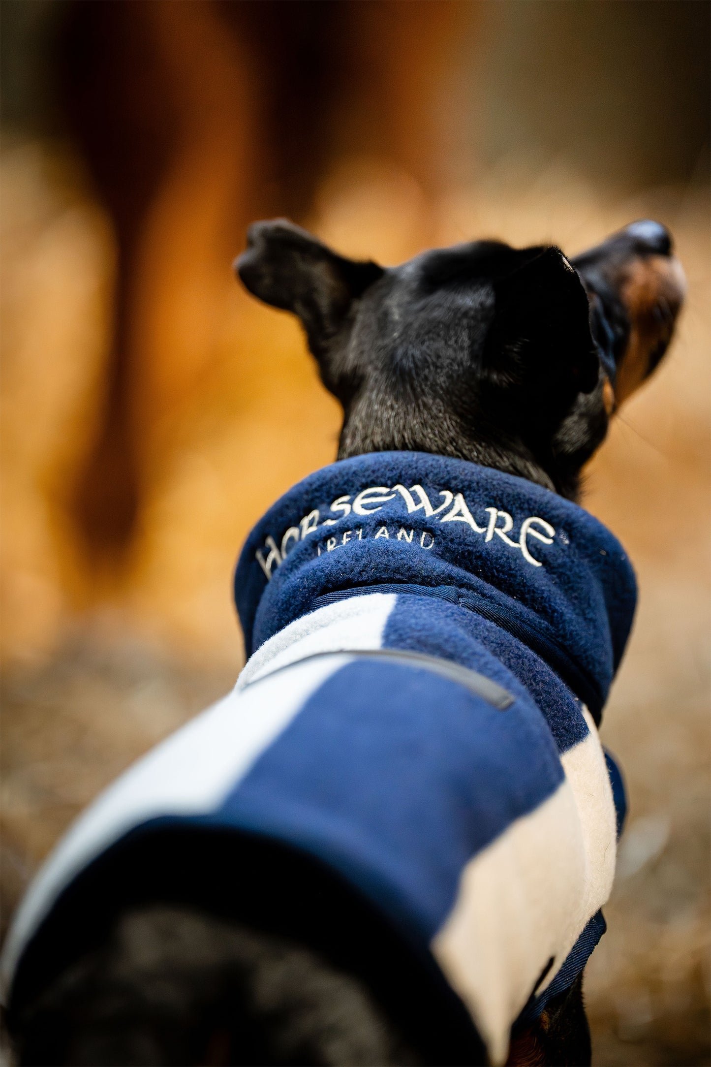 Horseware Signature Dog Fleece