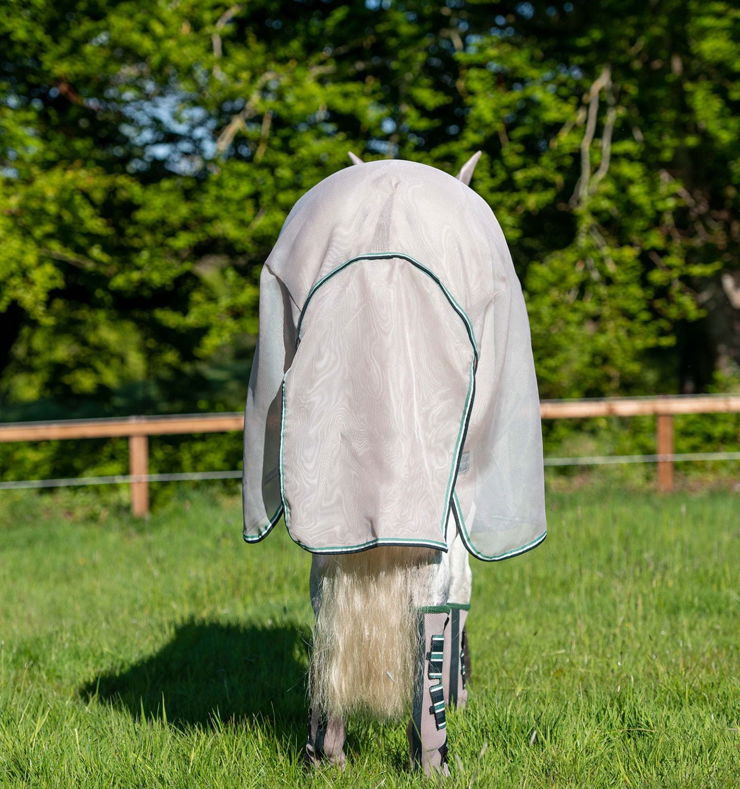 🔖Rambo Flybuster Vamoose AND Waterproof Fly Rug Liner