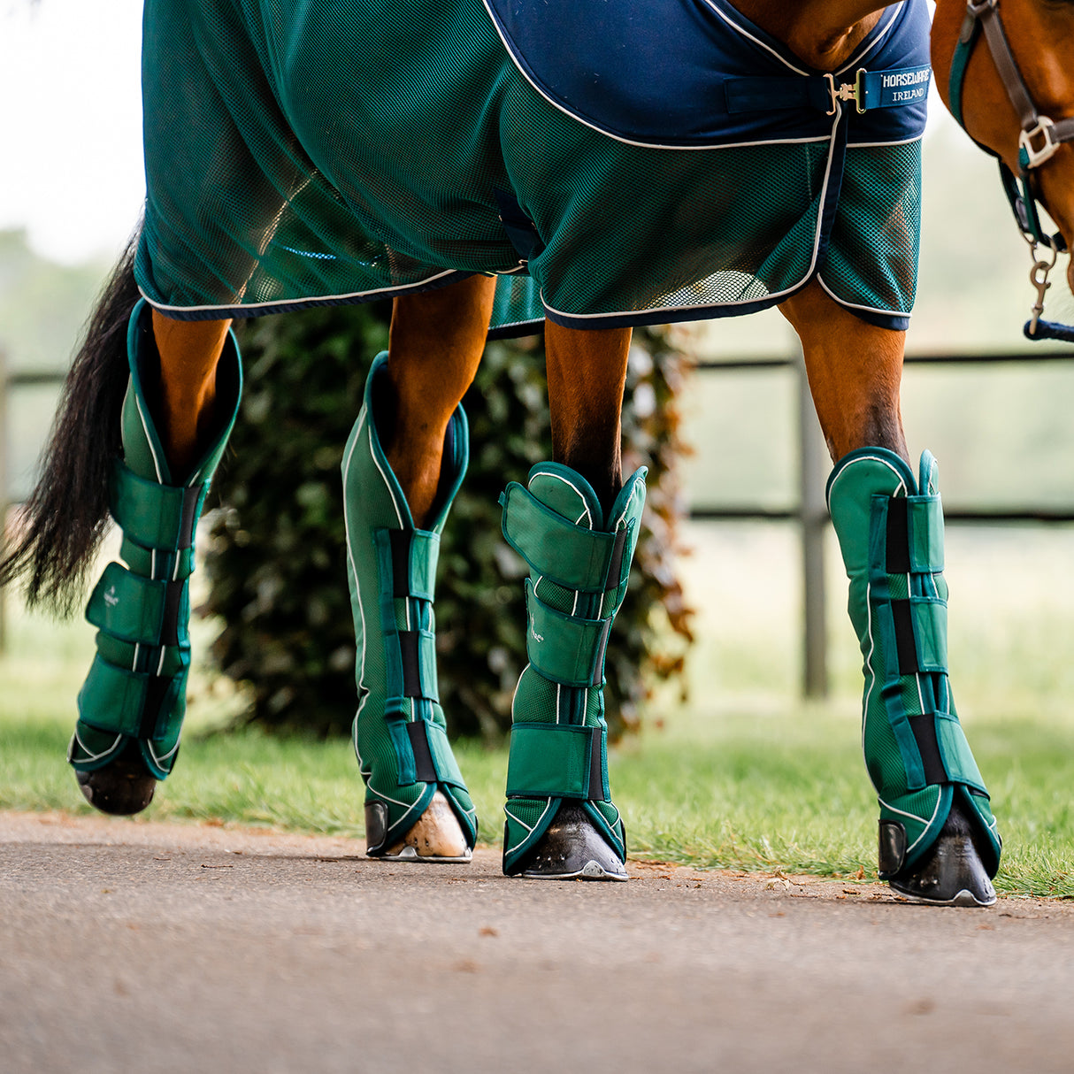 🔖Horseware Ireland Signature Travel Boots