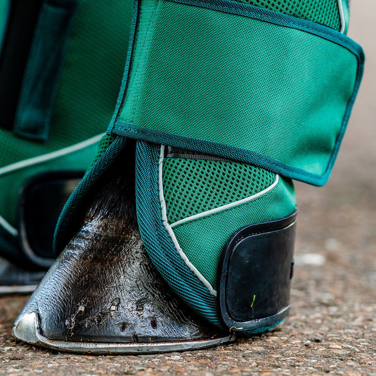 🔖Horseware Ireland Signature Travel Boots