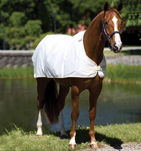 🔖Rambo Flybuster Vamoose AND Waterproof Fly Rug Liner