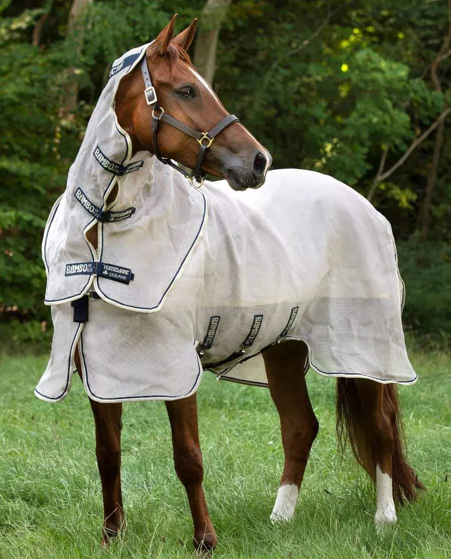 🔖Rambo Flybuster Vamoose AND Waterproof Fly Rug Liner