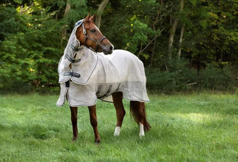 🔖Rambo Flybuster Vamoose AND Waterproof Fly Rug Liner