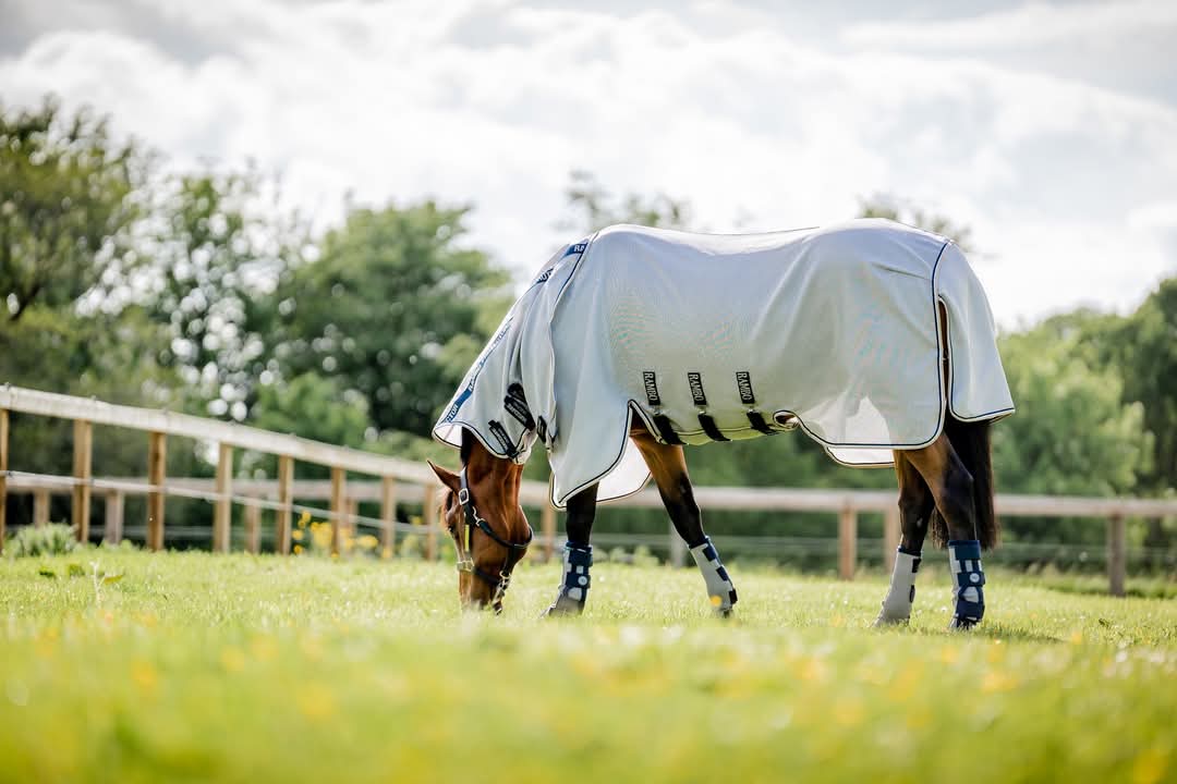 Horseware Flyboots