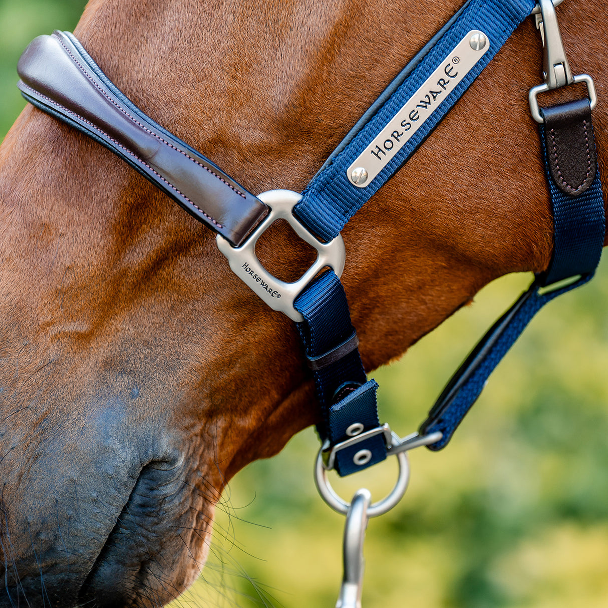 🔖Horseware Signature Competition Headcollar