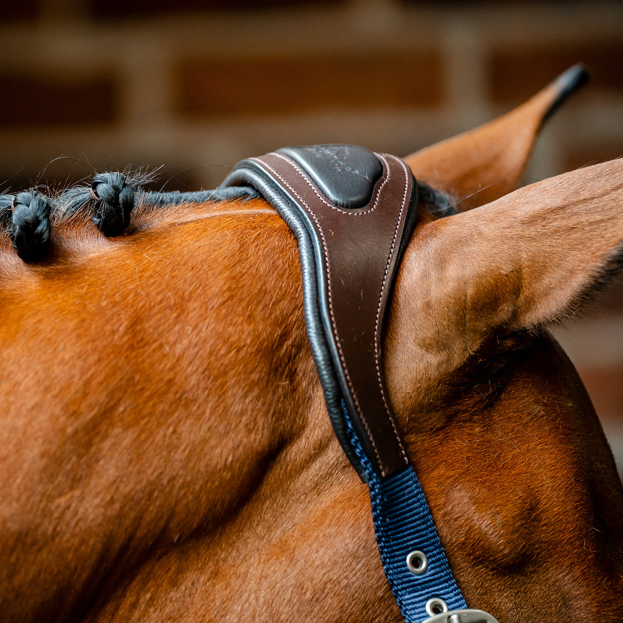 🔖Horseware Signature Competition Headcollar