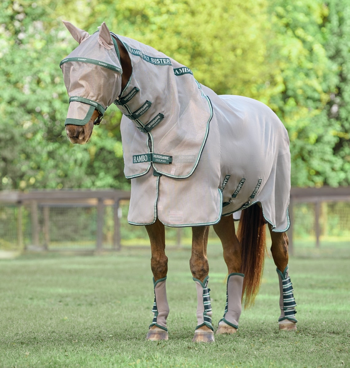 🔖Rambo Flybuster Vamoose AND Waterproof Fly Rug Liner