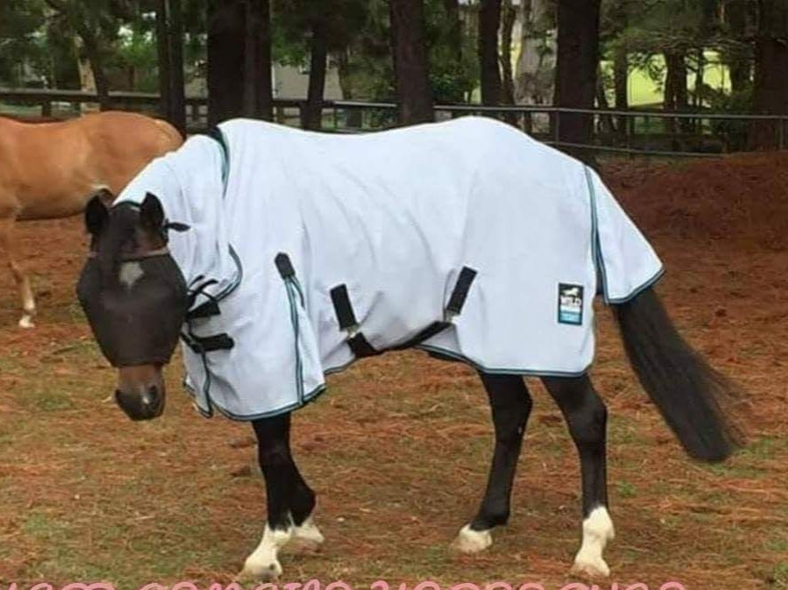 Wild Horse Insect Control Super Strength Combo (Infused With Permethrin)