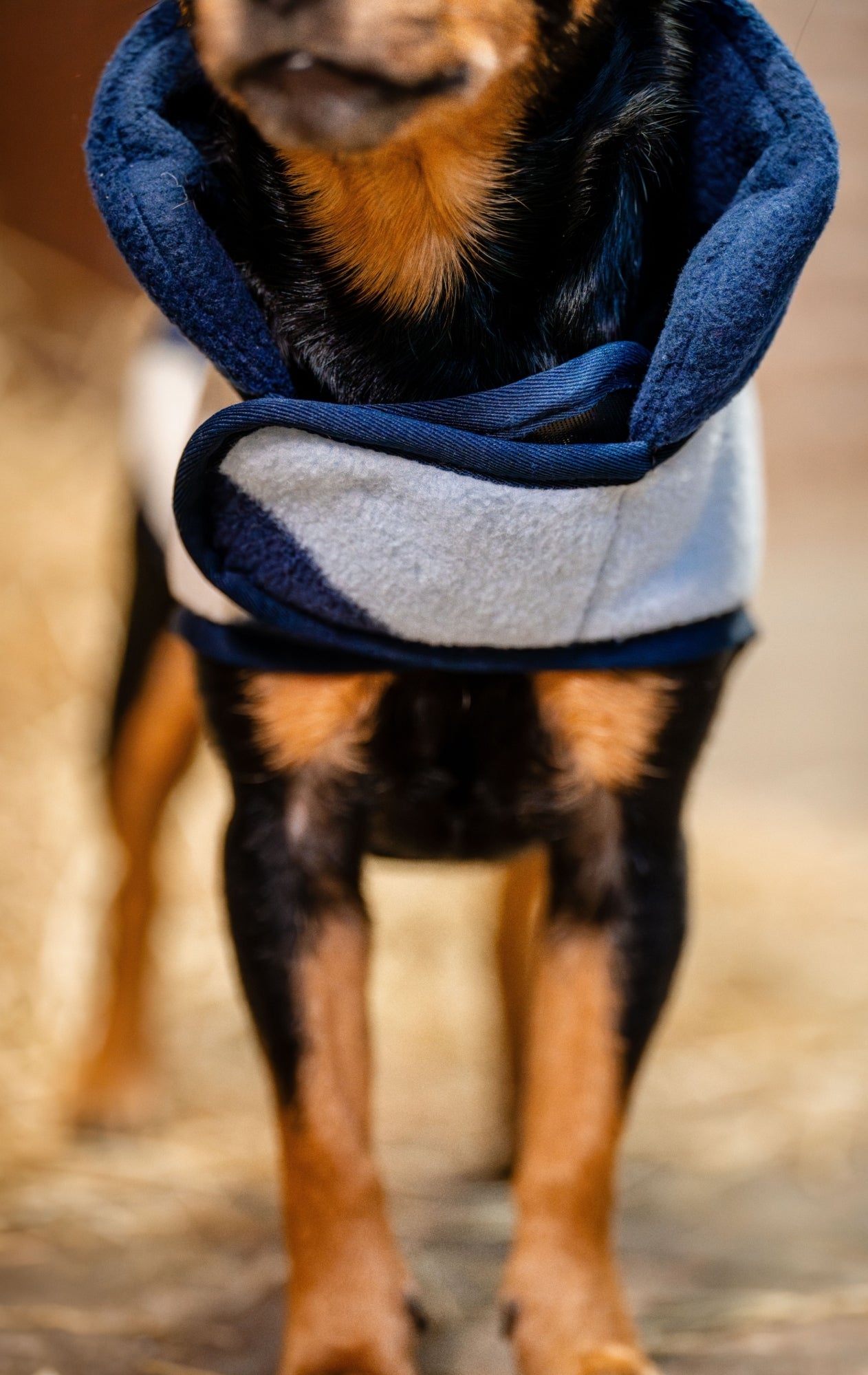 Horseware Signature Dog Fleece