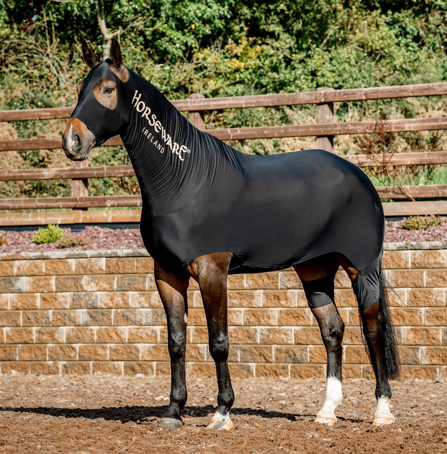 RAMBO SLINKY FULL BODY SUIT