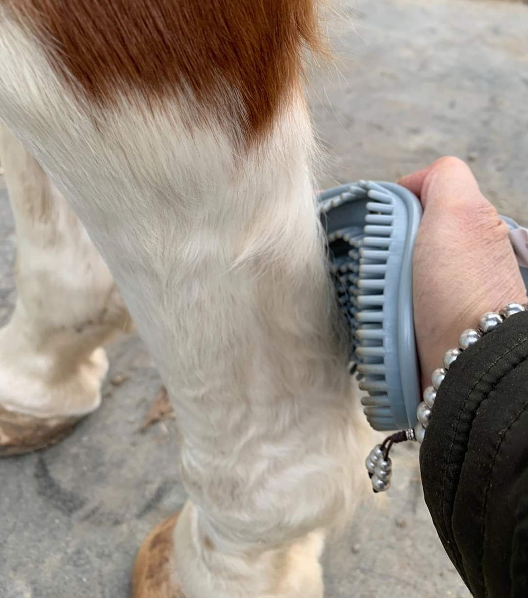 EPONA FLEXIBLE GLOSSY GROOMER