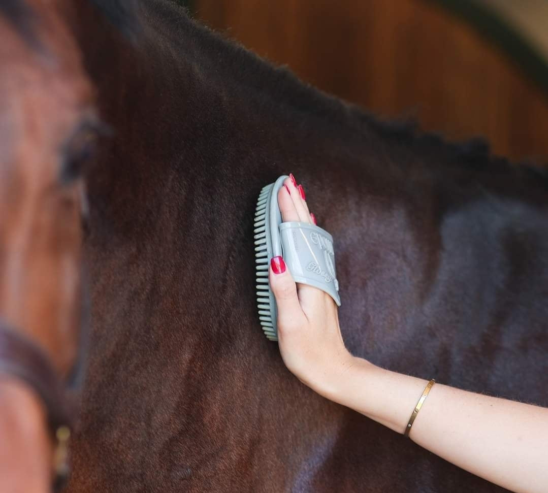 EPONA FLEXIBLE GLOSSY GROOMER