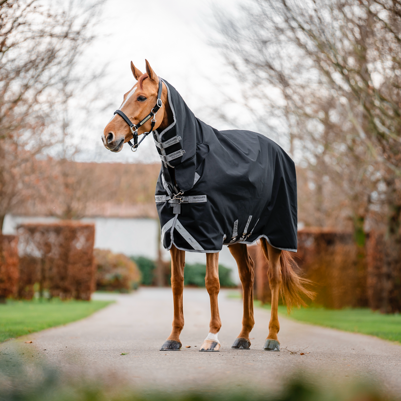 Amigo 1200D Integrated Turnout 0g