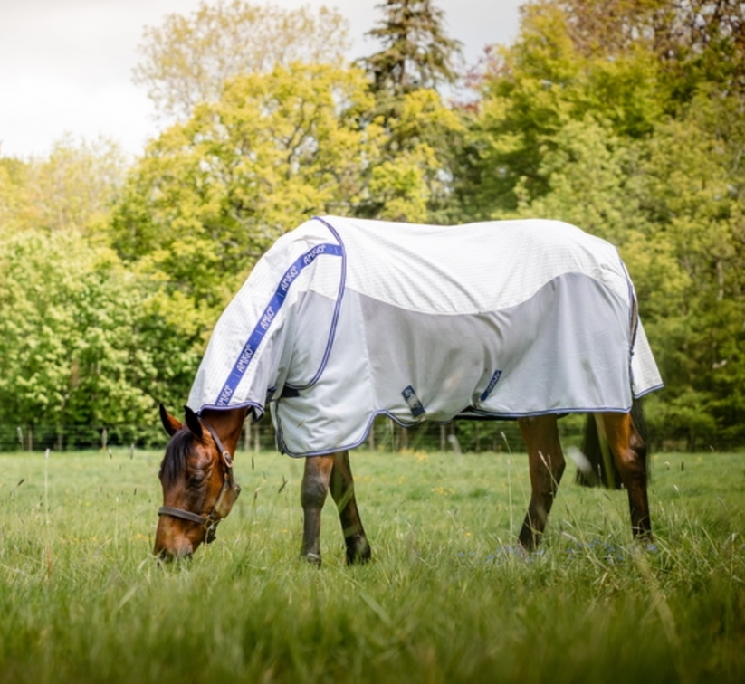 Amigo Airflow Pony Classic Front