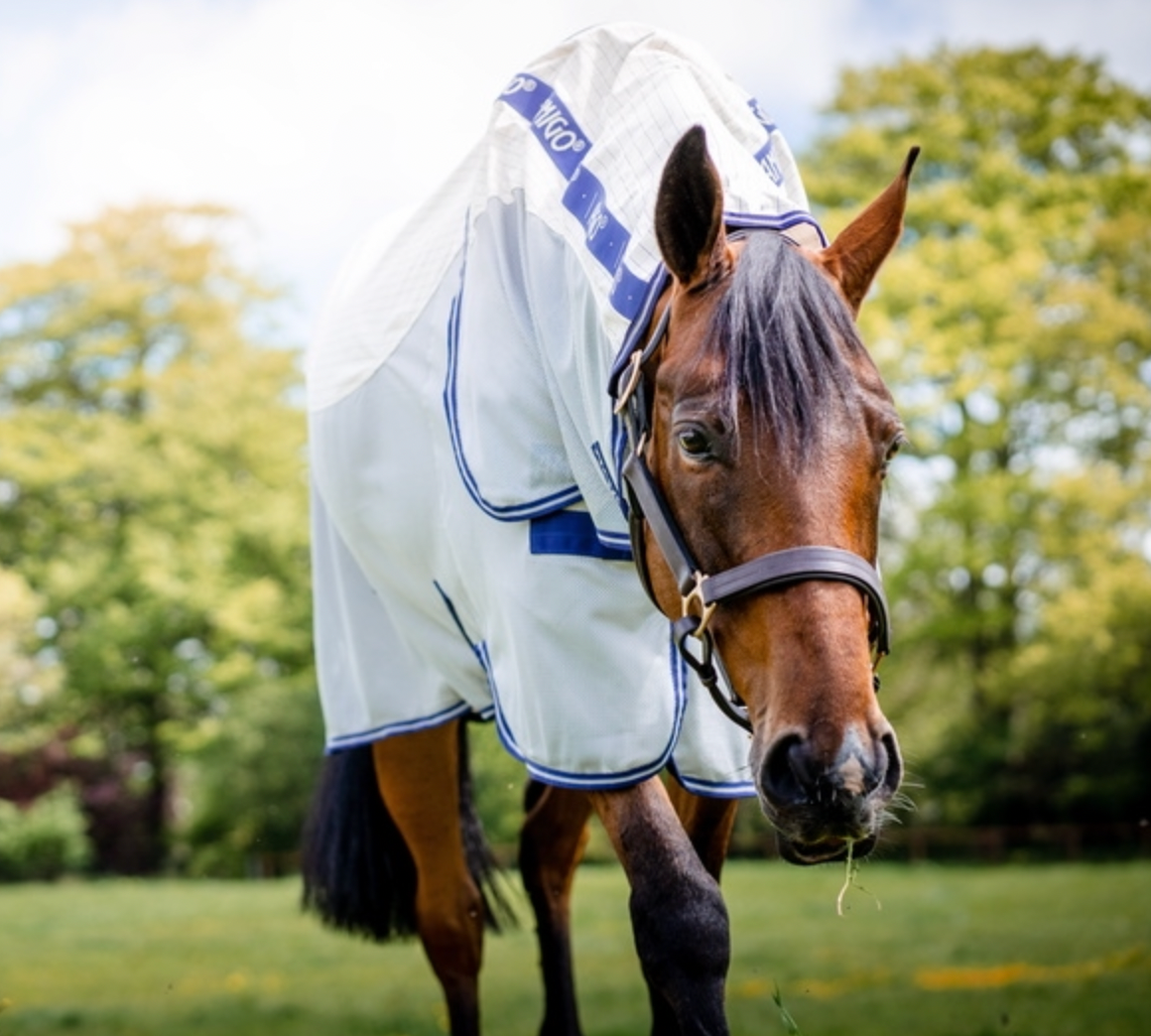 Amigo Airflow Pony Classic Front