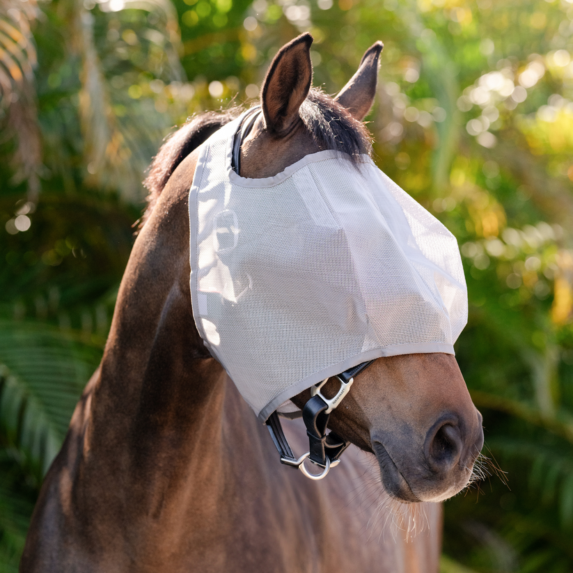Amigo Flymask No Ears