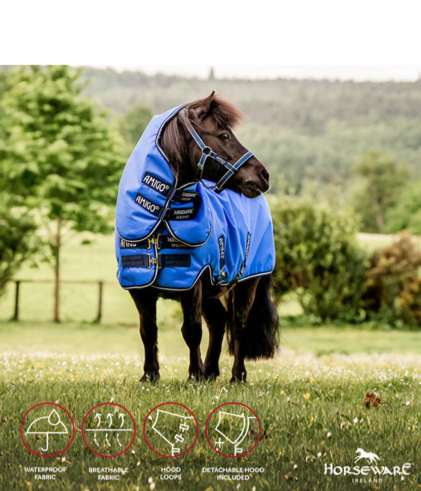 đŸ”–AMIGO HERO 6 PETITE PLUS TURNOUT LITE