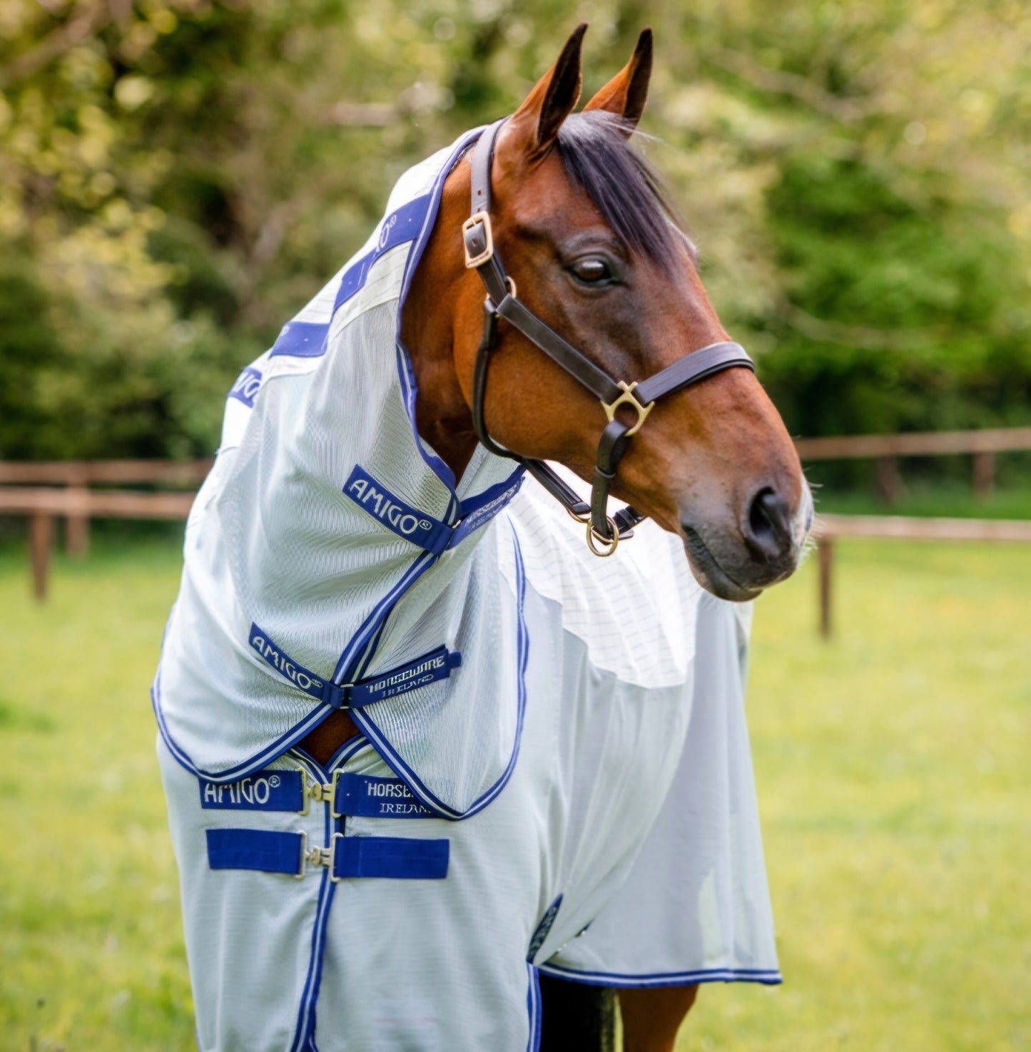 Amigo Airflow Pony Classic Front