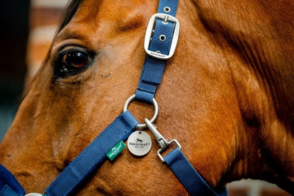 🔖Horseware Signature Grooming Headcollar