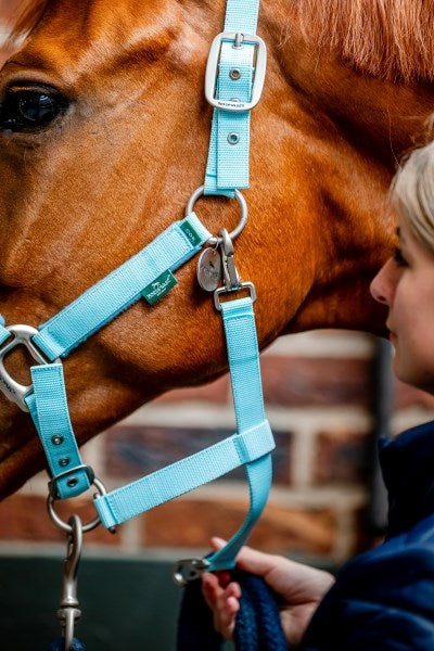 🔖Horseware Signature Grooming Headcollar