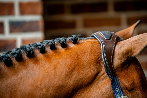 🔖Horseware Signature Competition Headcollar