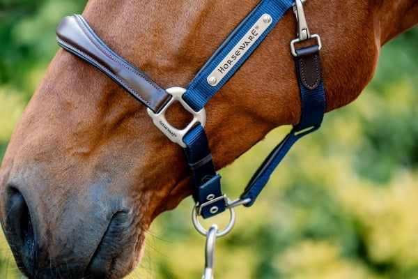 🔖Horseware Signature Competition Headcollar