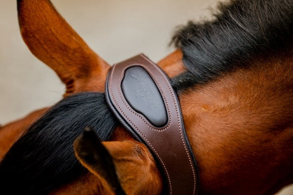 🔖Horseware Signature Competition Headcollar