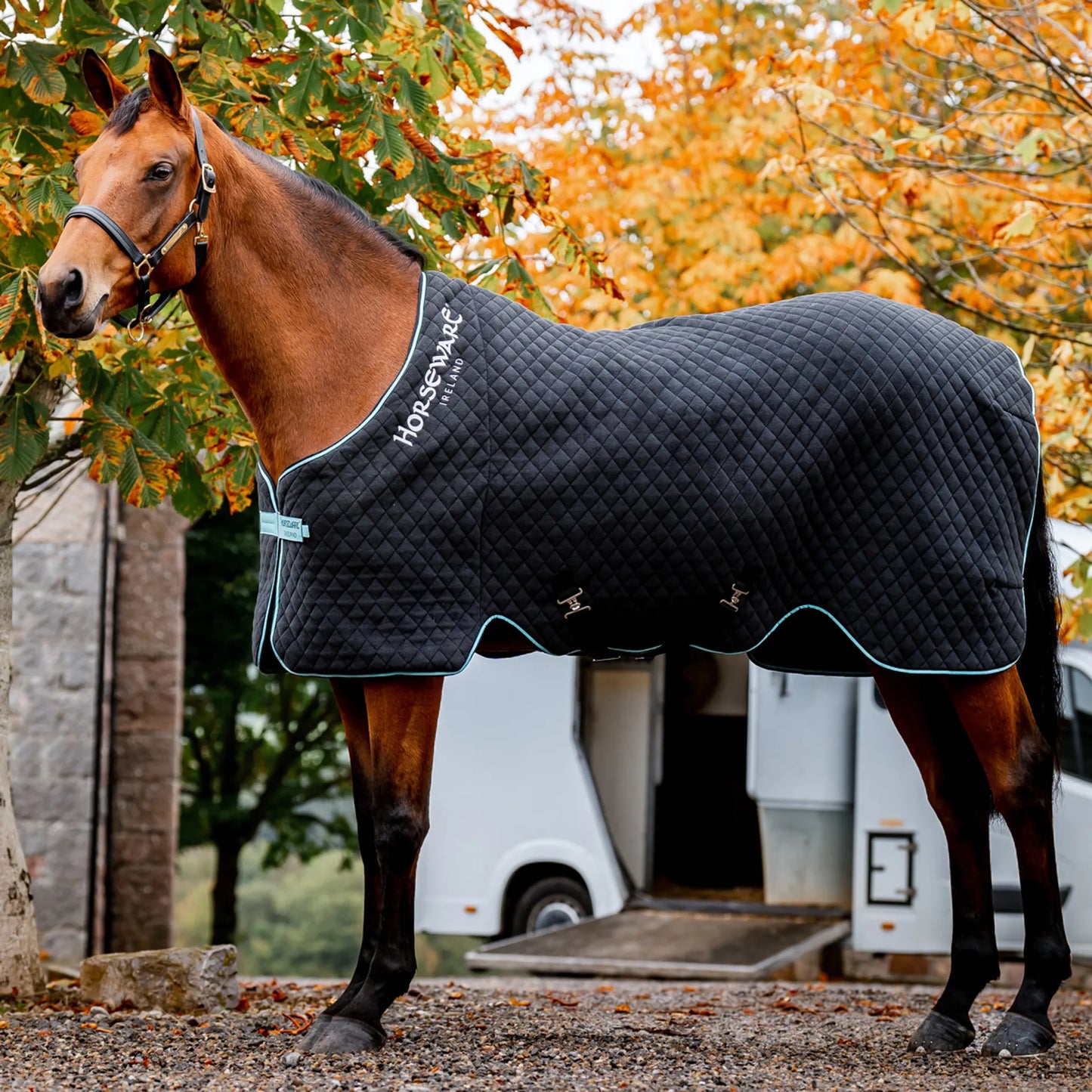 đź”–Horseware Ireland Autumn Cooler