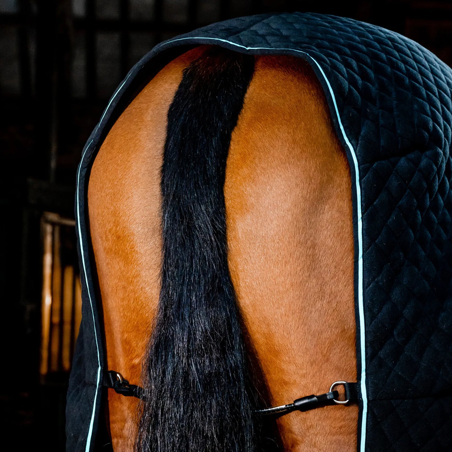 đź”–Horseware Ireland Autumn Cooler