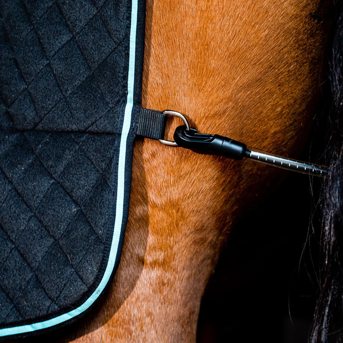 đź”–Horseware Ireland Autumn Cooler