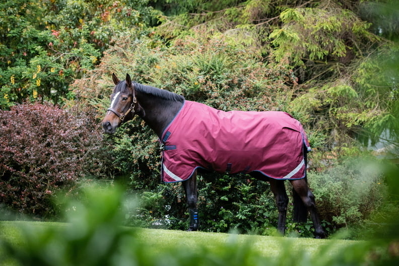 RAMBO ORIGINAL V-FRONT TURNOUT 0G or 100g WITH DETACHABLE NECK