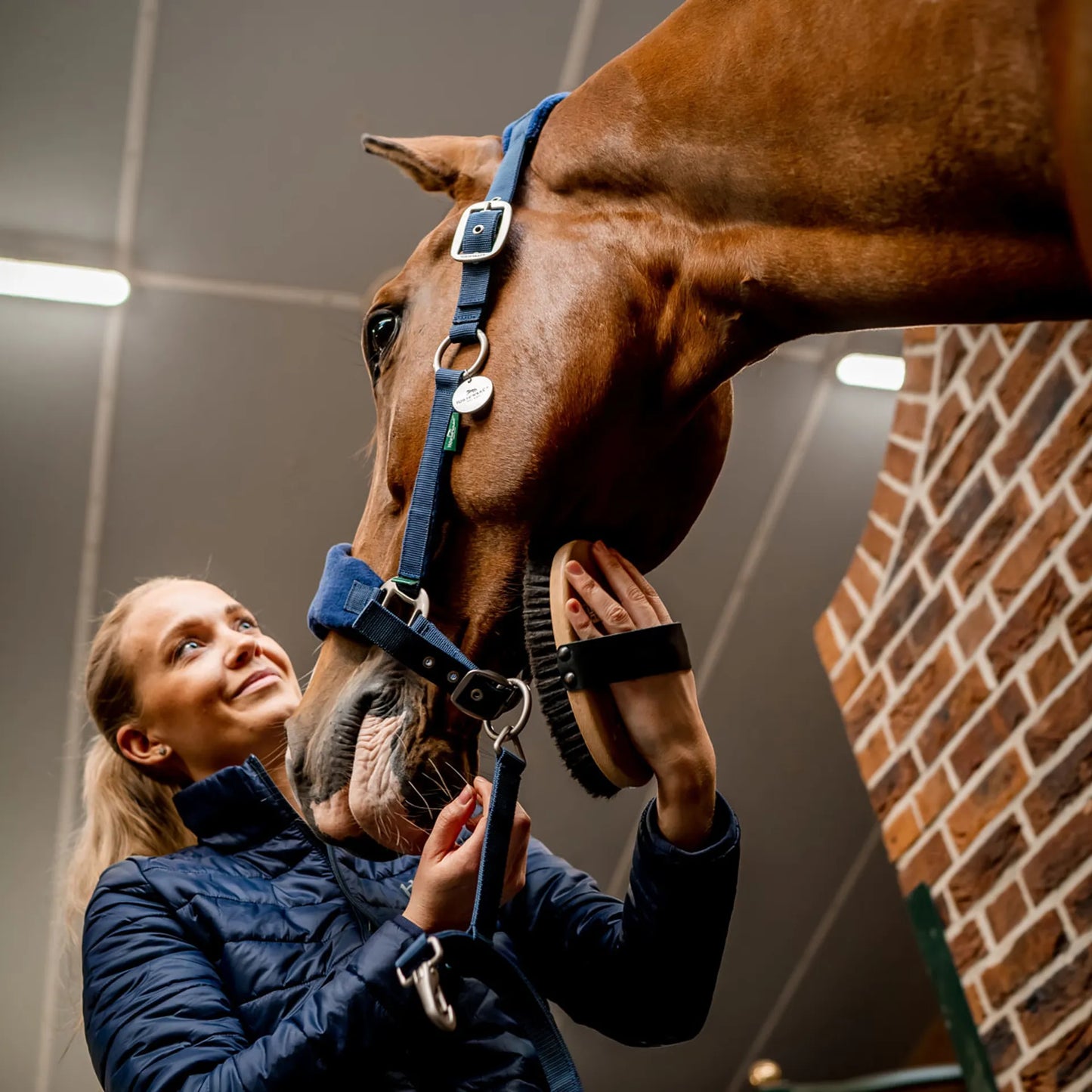 🔖Horseware Signature Grooming Headcollar