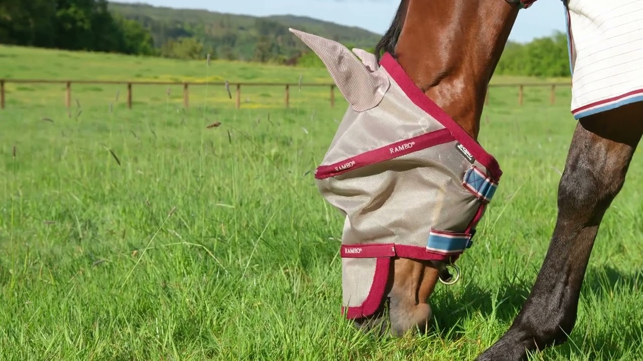 RAMBO FLYMASK PLUS