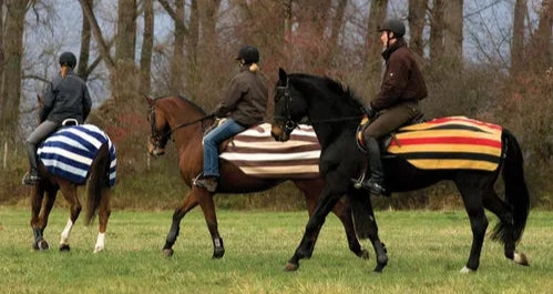 Horseware Newmarket Fleece Exercise Sheet