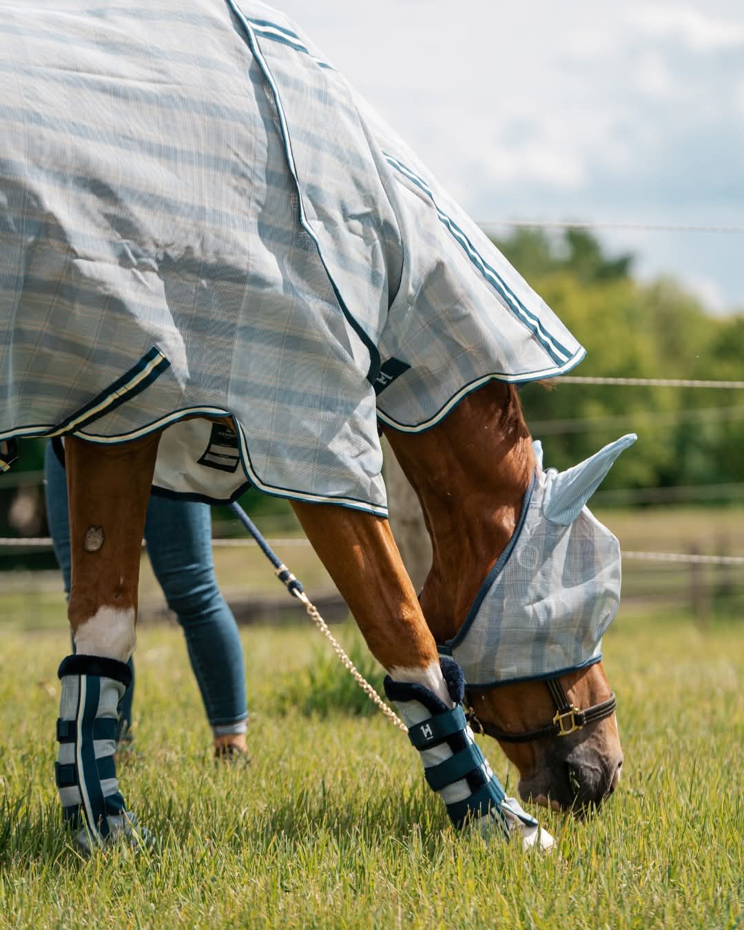 Horseware Newmarket Fly Boots
