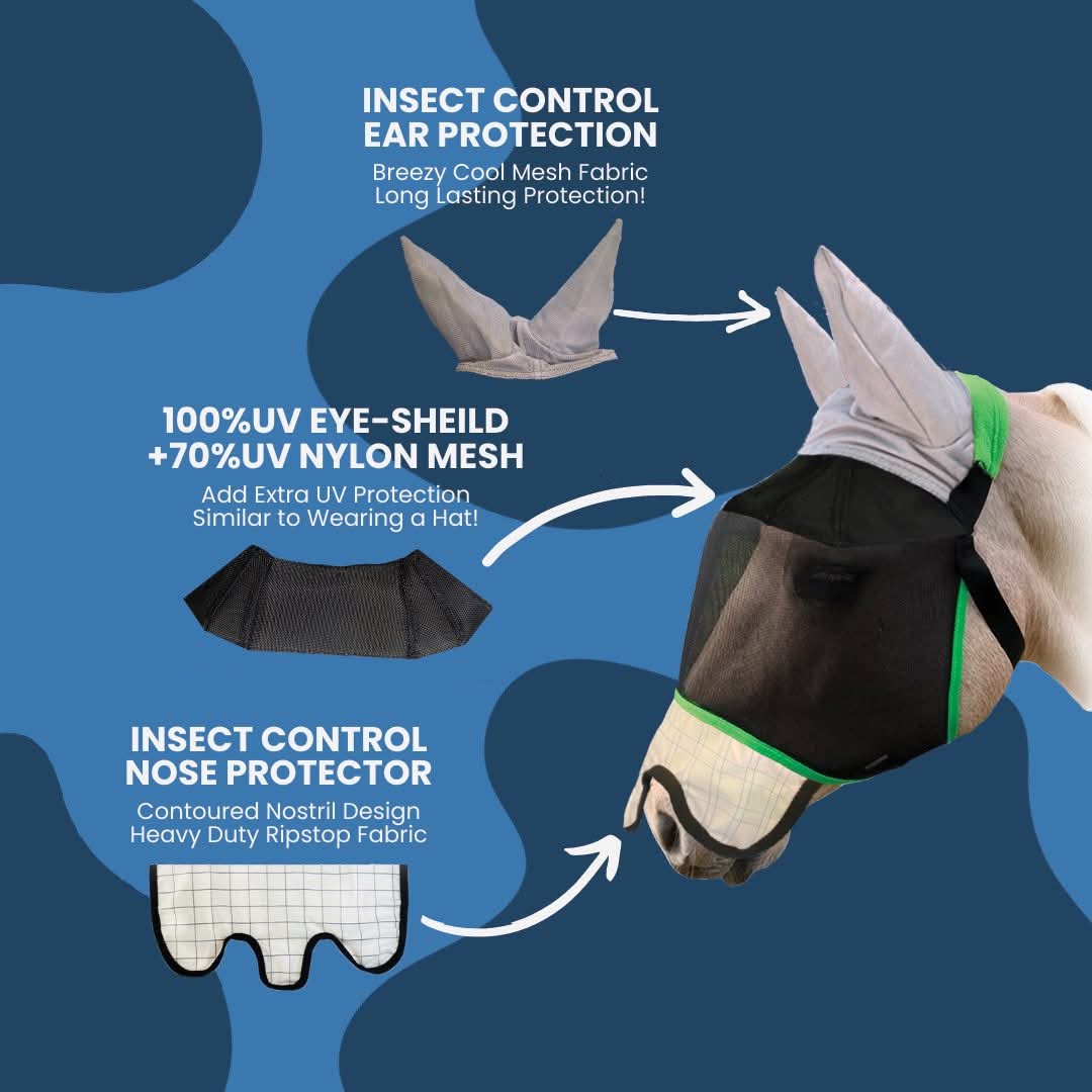 WILD HORSE AUS TRIPLE DART VEILS