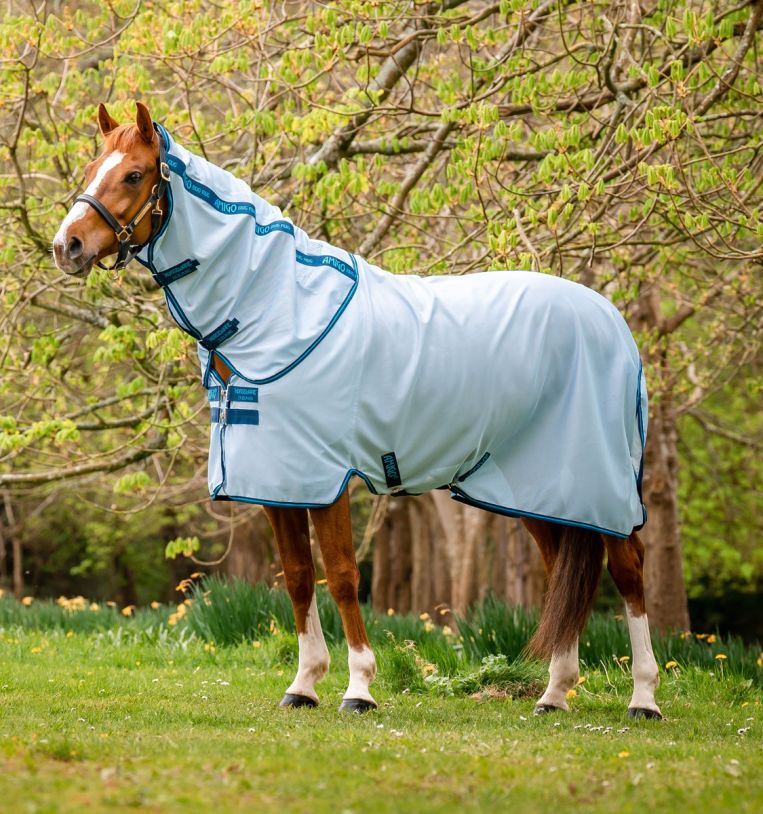 Amigo Bug Rug Plus Pony