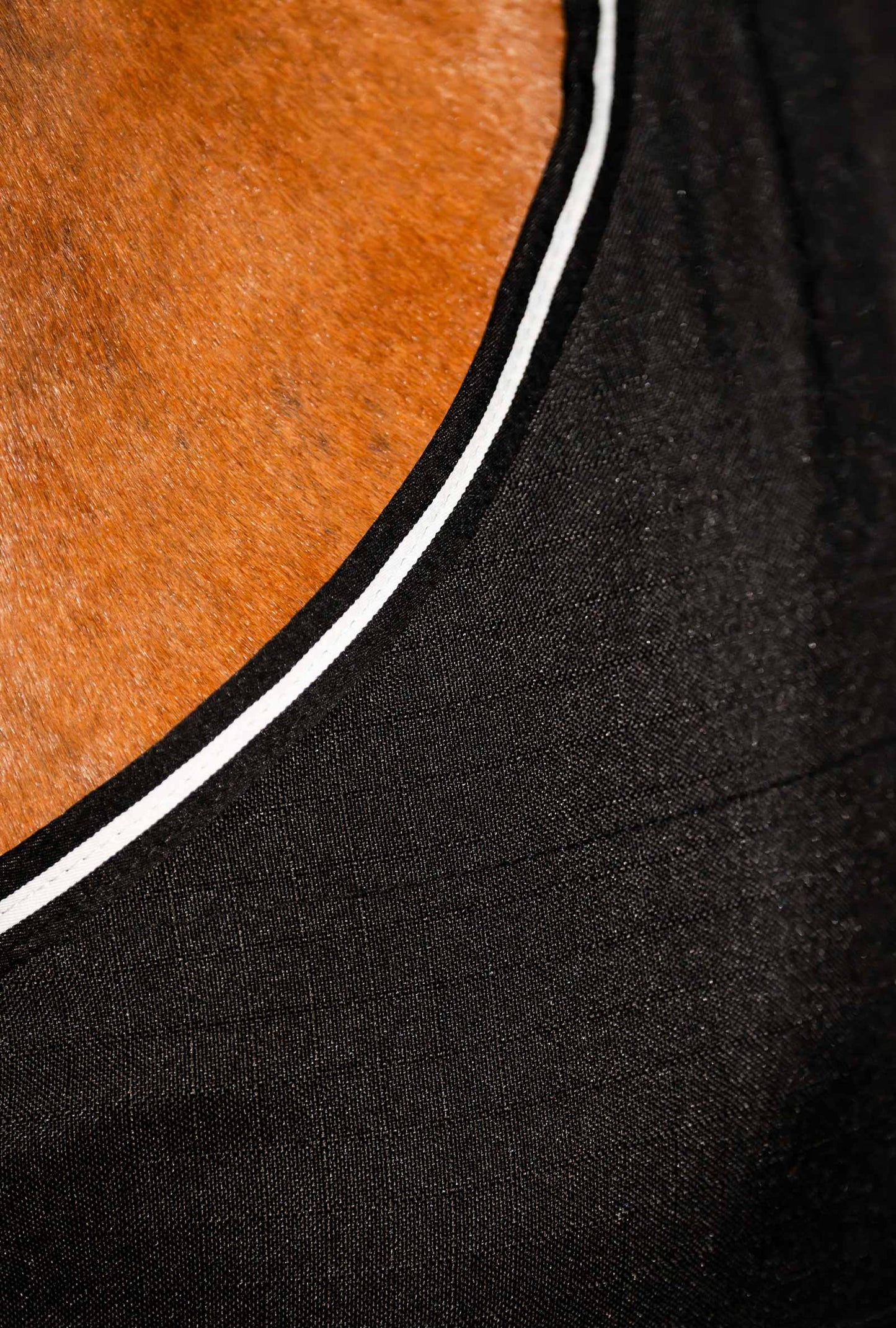 RAMBO STABLE SHEET