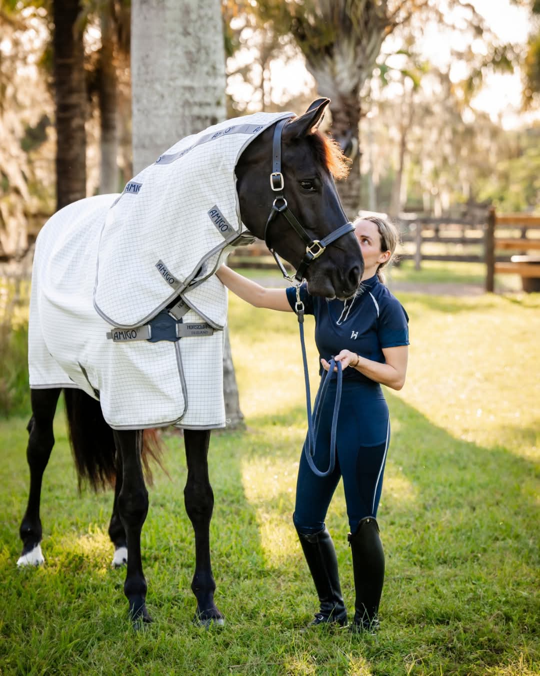 Amigo Summer Sheet Plus