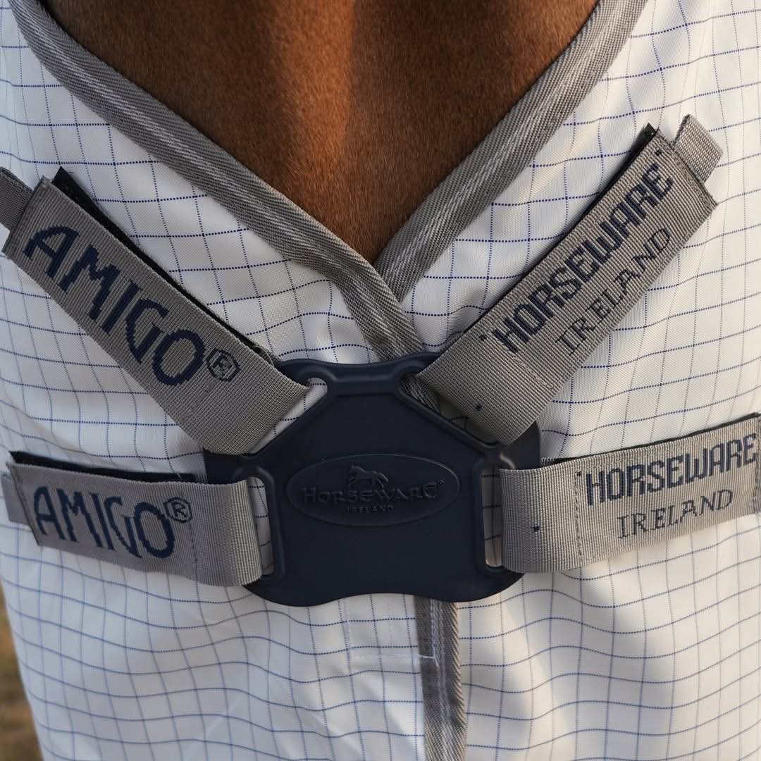 Amigo Summer Sheet Plus