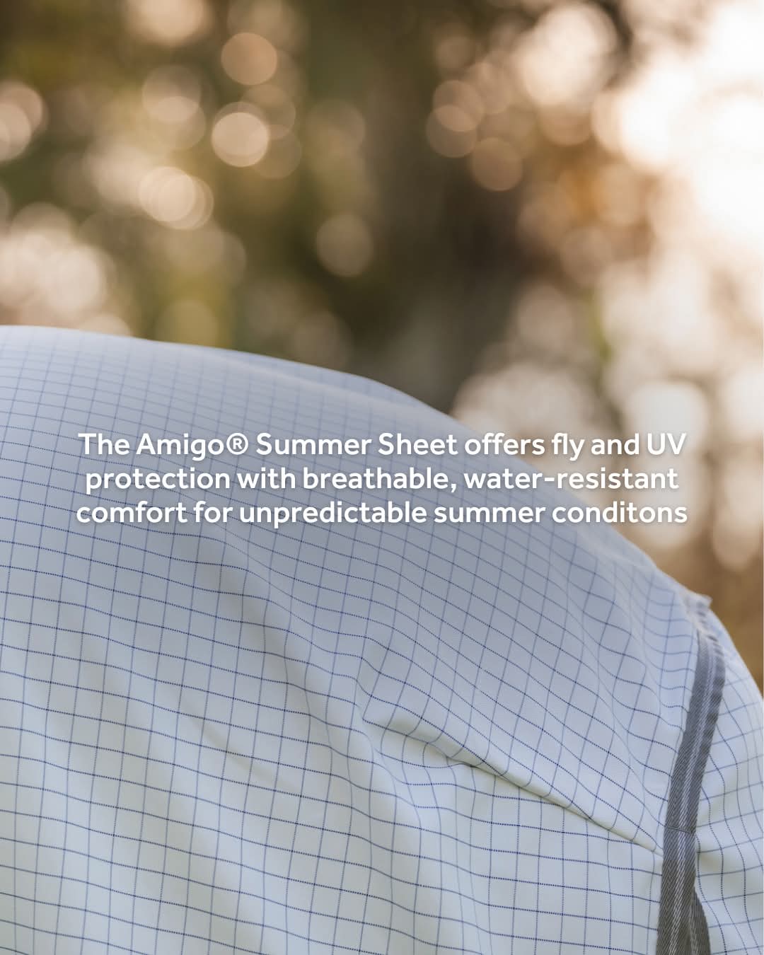 Amigo Summer Sheet Plus