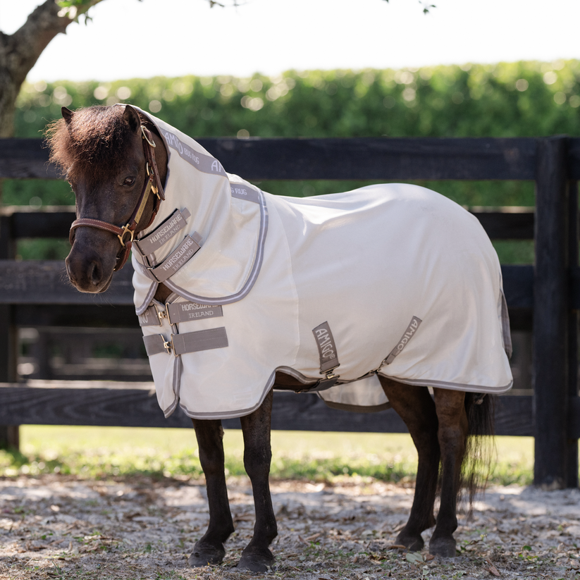 AMIGO PETITE BUG RUG PLUS New Season's 2025