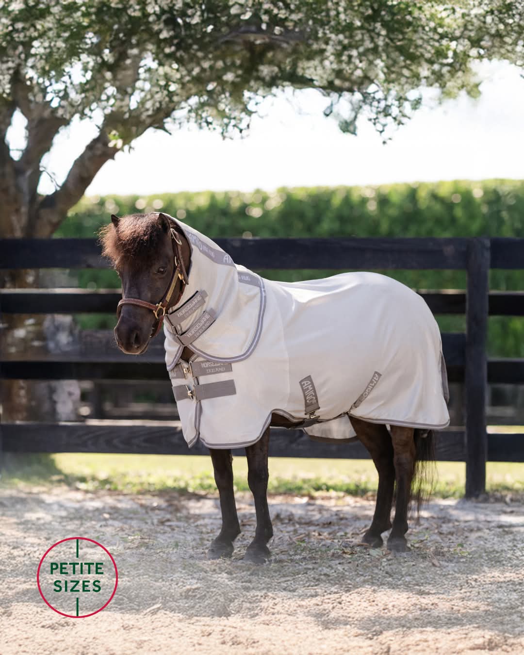 AMIGO PETITE BUG RUG PLUS New Season's 2025