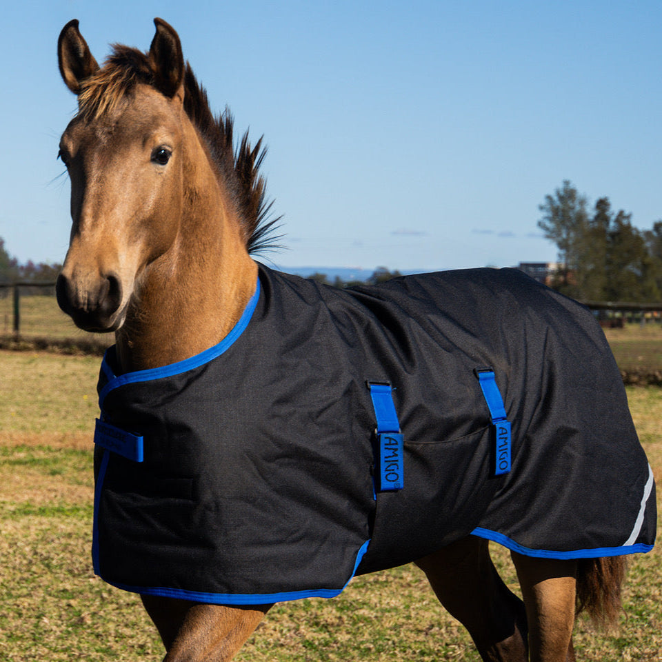 Amigo 50G Foal Rug New 2025 Season's