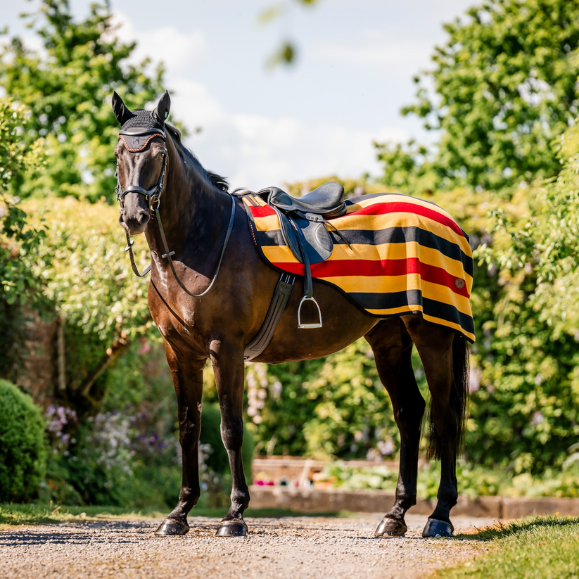 Horseware Newmarket Fleece Exercise Sheet