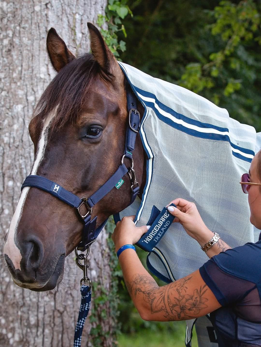 Horseware® Newmarket Plus Fly Sheet